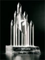 Castle Windows Platinum Elite Award
